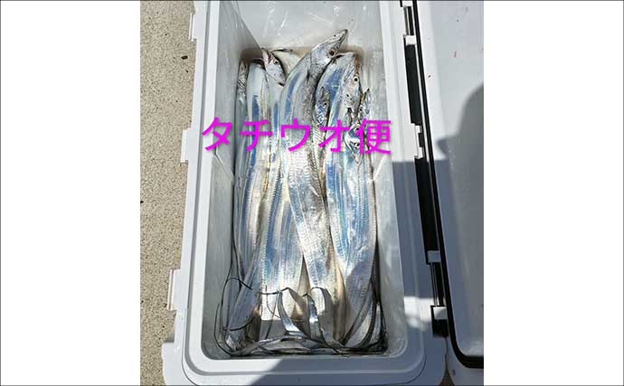 秋のマダイ数釣りシーズン間近！　「関西の船釣りがもっと楽しくなる」特選情報7選