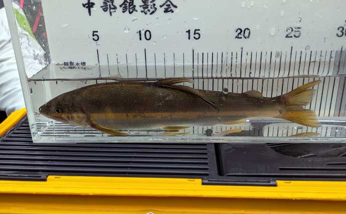 シーズン終盤の大アユを釣ろう！ 狙うポイント・タックル・仕掛け・取り込み方を徹底解説