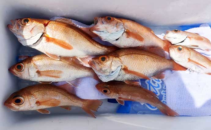 大型交じりに釣る人アカムツ10匹超え！【船釣り最新釣果情報6選・北陸】