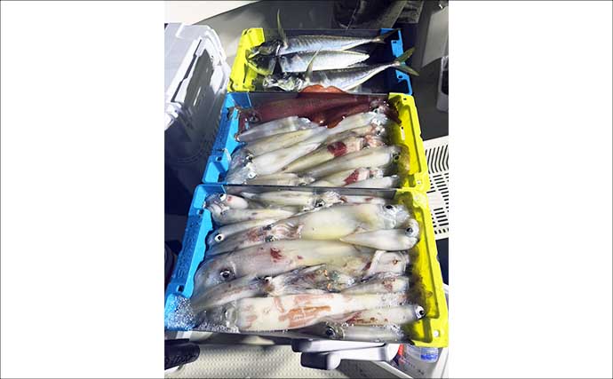 大型交じりに釣る人アカムツ10匹超え！【船釣り最新釣果情報6選・北陸】