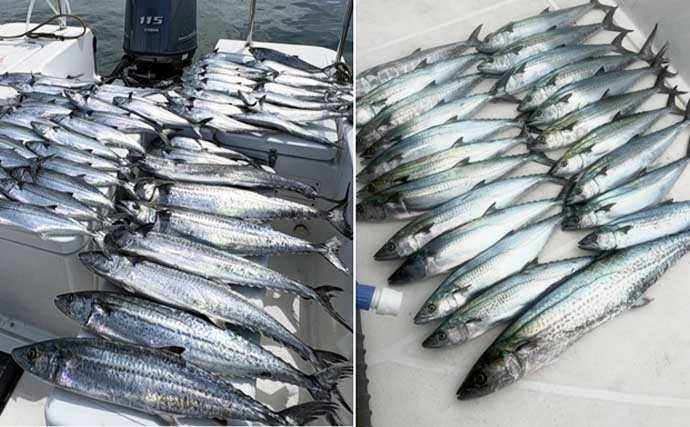 ボートエギングでアオリイカと対面成功！【沖のルアー釣果速報6選・愛知／静岡】