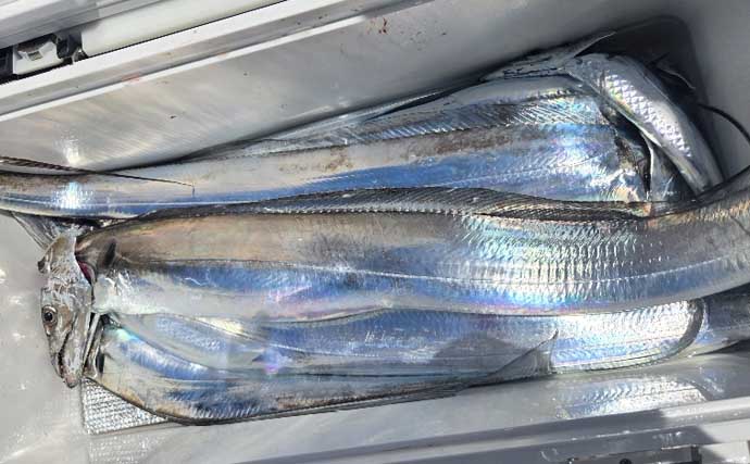クエもヒット！タテ釣りで青物にマダイに根魚と多彩魚登場【船エサ釣り釣果速報10選・三重】