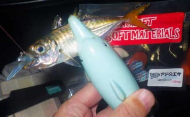 アタリは多数でも釣果は14匹！ 掛からない「豆アジング」に夢中になった…