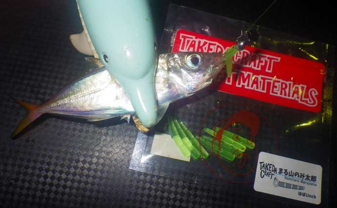 アタリは多数でも釣果は14匹！ 掛からない「豆アジング」に夢中になった夜【四日市港】