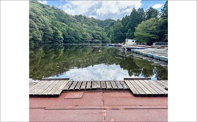 今週のヘラブナ「ピックアップ」釣り場2026【千葉・三島湖】