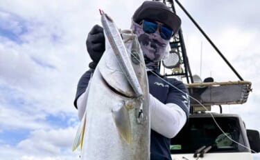 ヒラマサの聖地「平戸沖」で10kgオーバー含め順調！【船釣り最新釣果情…