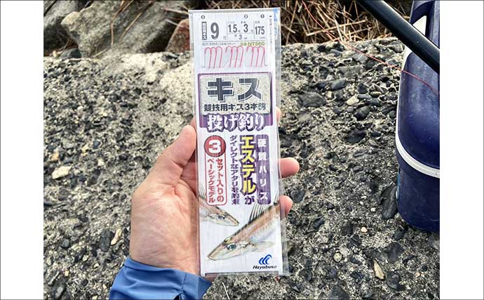 エサをアオイソメからイシゴカイに替えた途端に良型シロギスが連発！【三重】