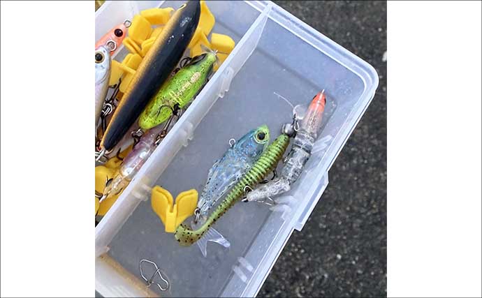 「そんなに釣れない」のにメバリングでバイブレーションを使う理由　思わぬ1尾を連れてくる？