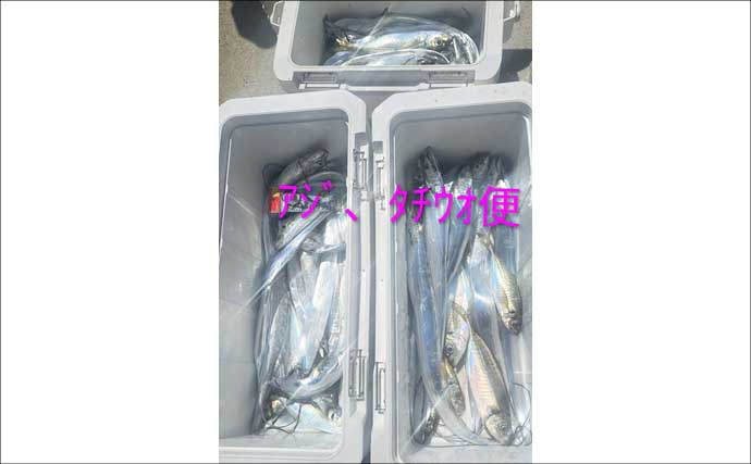 落とし込み＆ひとつテンヤのリレー便で美味魚を好捕　関西エリアの【船釣り特選釣果7選】