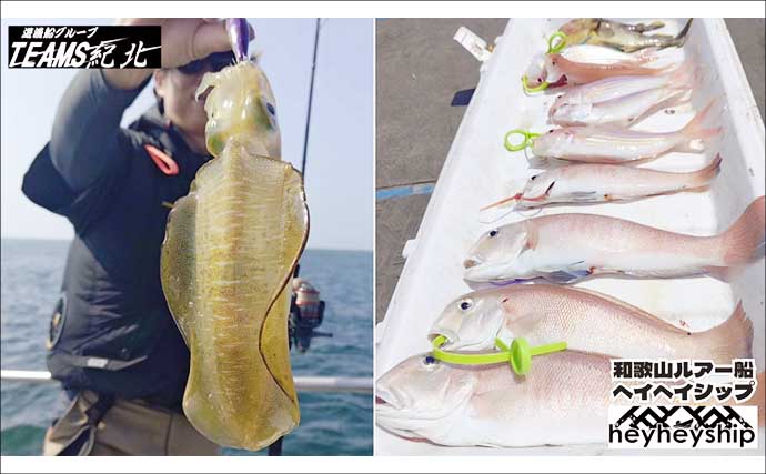落とし込み＆ひとつテンヤのリレー便で美味魚を好捕　関西エリアの【船釣り特選釣果7選】