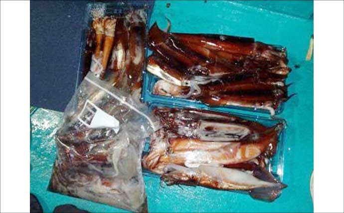 落とし込み＆ひとつテンヤのリレー便で美味魚を好捕　関西エリアの【船釣り特選釣果7選】