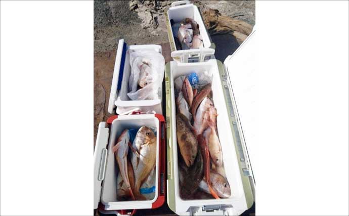 落とし込み＆ひとつテンヤのリレー便で美味魚を好捕　関西エリアの【船釣り特選釣果7選】