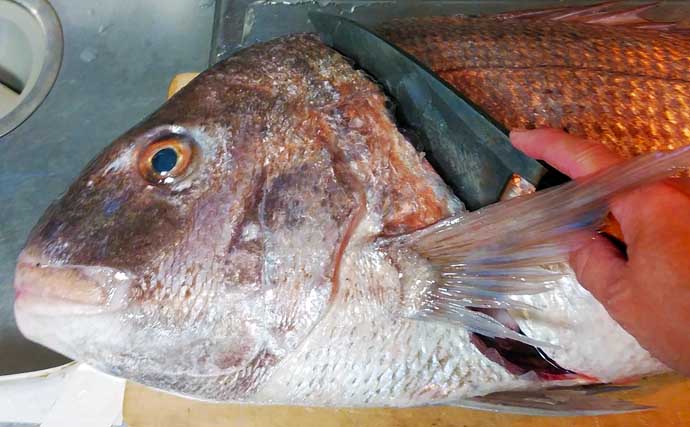 釣魚で作る「料亭の味」レシピ：大ダイの漬け焼き　優しいだしが決め手