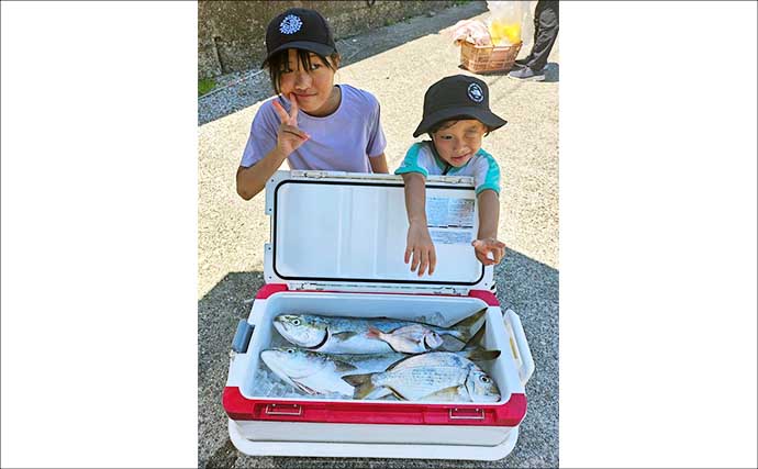 子どもが青物と真っ向勝負！ サポートなしで「ワラサ＆良型ハマチ」を連続キャッチ【串本カセ釣り】