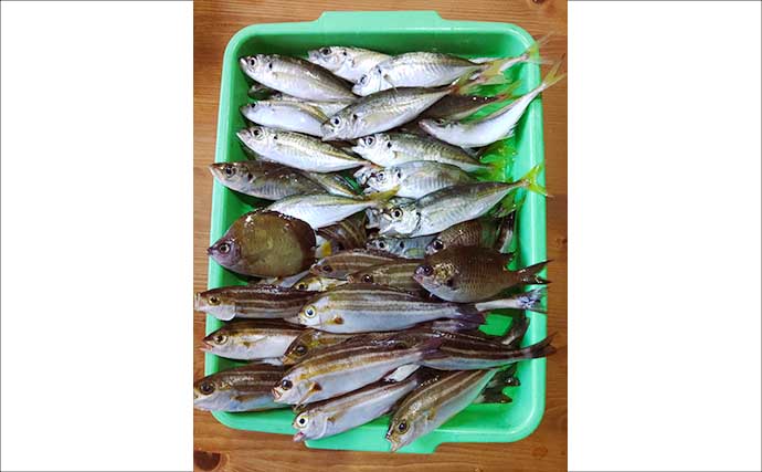 小アジ＆イサキが入れ食いで100尾超え！ 泳がせ釣りでは一転「サメの猛攻」に大苦戦