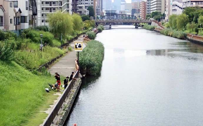 「釜揚げシラス」にハゼが入れ食い！ 正味1時間で33尾をキャッチ【東京】