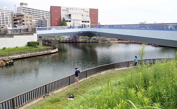 「釜揚げシラス」にハゼが入れ食い！ 正味1時間で33尾をキャッチ【東京】