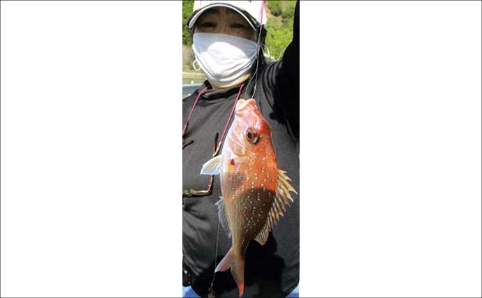 キス狙いの投げ釣りで「34cmマダイ」が釣れた！　良型キスにマゴチも登場