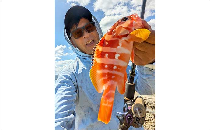 エギング不発で「アカハタ狙い」に浮気？ 根魚連発を楽しんだ後に700gアオリイカ登場！