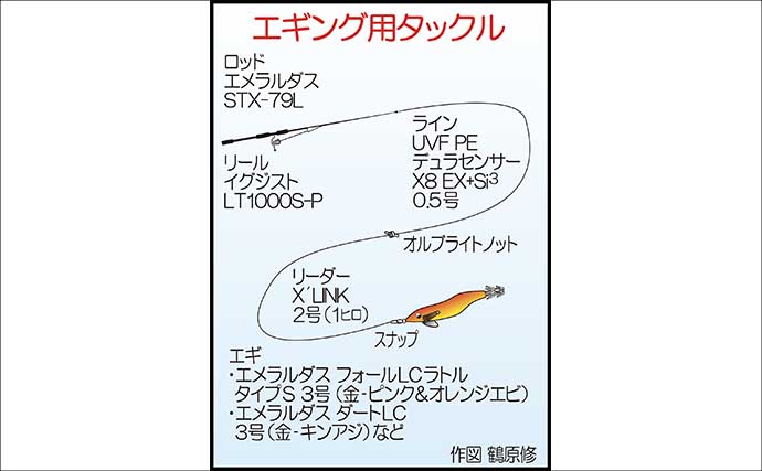 エギング不発で「アカハタ狙い」に浮気？ 根魚連発を楽しんだ後に700gアオリイカ登場！