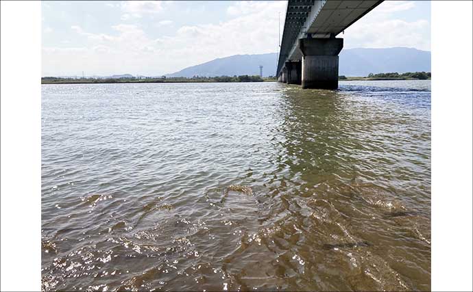 「いつもの深場でハゼが釣れない！」　増水した木曽川で浅場をウキ釣りで攻略成功