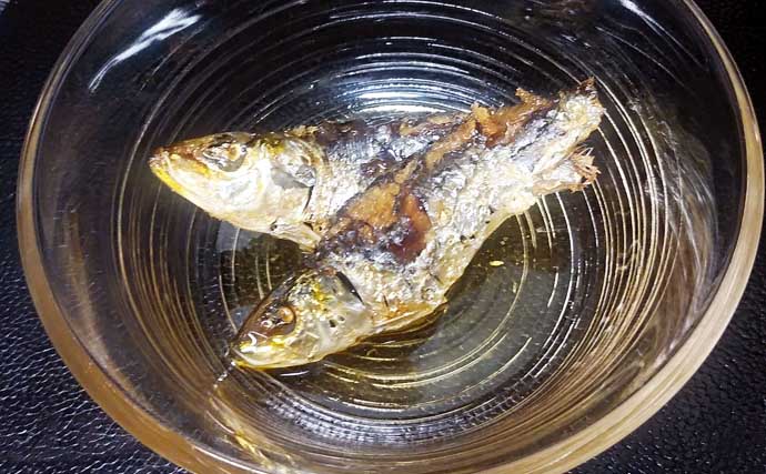 サビキ釣りの釣果レシピ：小羽イワシのオイル煮　ゆっくり弱火で煮込むのがコツ