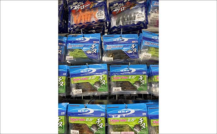 チニングにおけるワーム選択術 【クロー系とシャッドテールの使い分けを解説】