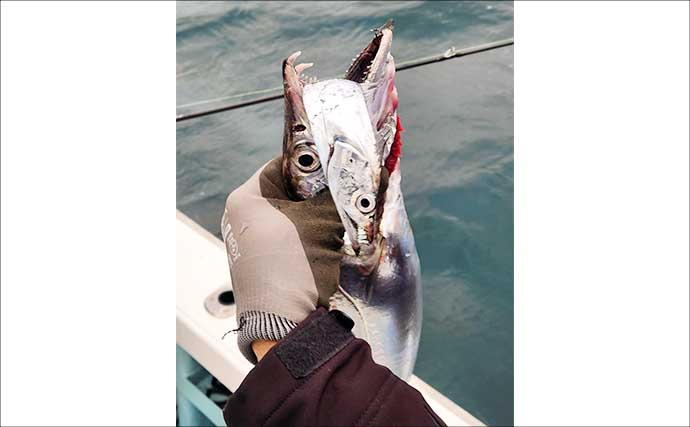 夜焚きイカ釣りで深海魚？が登場　船宿厳選「今週の船釣りに行きたくなる写真」8選【九州】