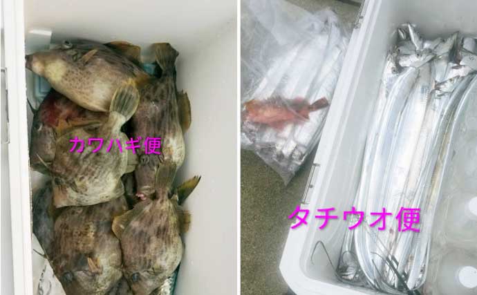 淡路沖の落し込みサビキ釣りでブリをキャッチ！　関西エリアの【船釣り特選釣果7選】