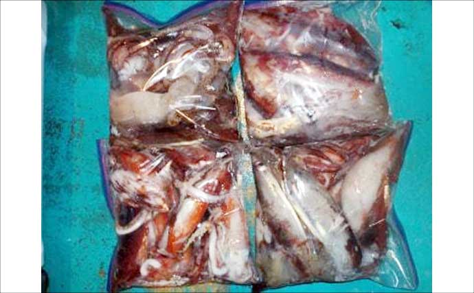 淡路沖の落し込みサビキ釣りでブリをキャッチ！　関西エリアの【船釣り特選釣果7選】