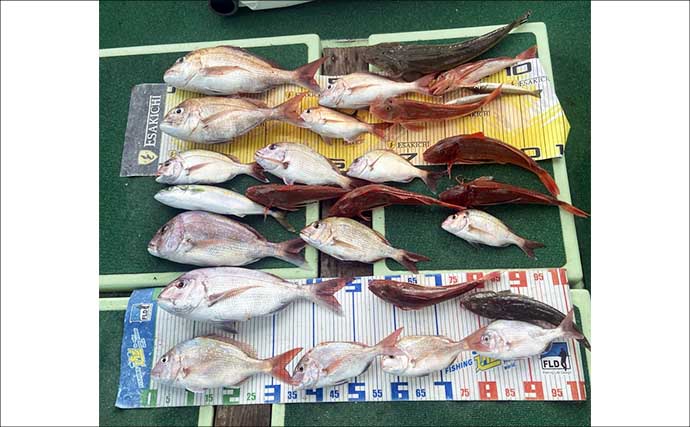ティップラン調査便でアオリイカ20杯オーバー 【沖のルアー釣果速報6選・三重】