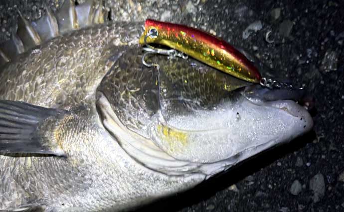 釣り歴20年で気づいた「ルアーはたくさん要らない」　無駄買いを減らす”賢い選び方”とは？