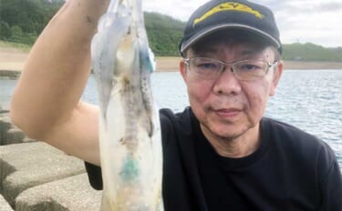 「30分限定！」のサーフエギングでアオリイカ2匹がヒット【波松海岸・福…