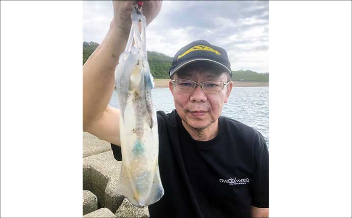 「30分限定！」のサーフエギングでアオリイカ2匹がヒット【波松海岸・福井】