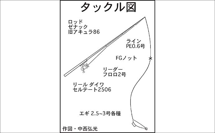 「30分限定！」のサーフエギングでアオリイカ2匹がヒット【波松海岸・福井】