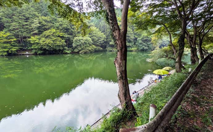 今週のヘラブナ「ピックアップ」釣り場2026【埼玉・鎌北湖】