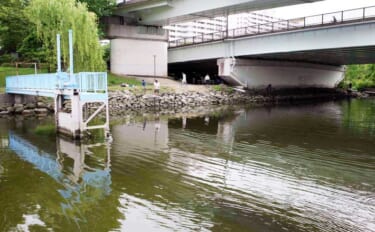 東京23区の「おすすめハゼ釣り場」：新左近川親水公園　4つの詳細ポイン…