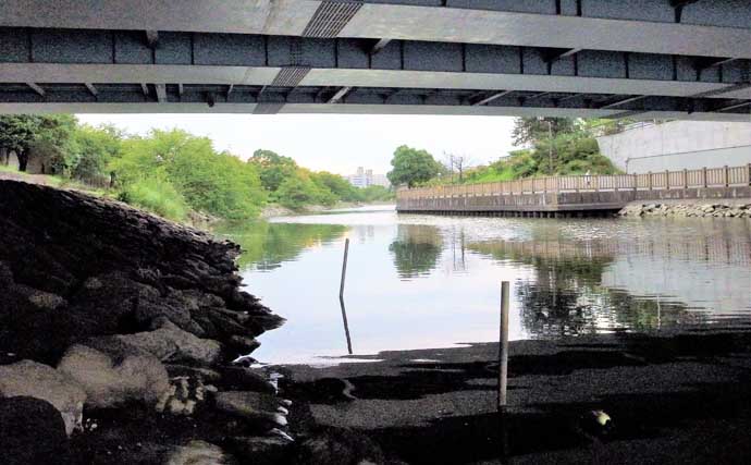 東京23区の「おすすめハゼ釣り場」：新左近川親水公園　4つの詳細ポイントを解説