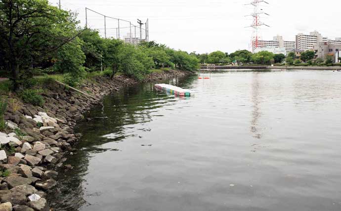 東京23区の「おすすめハゼ釣り場」：新左近川親水公園　4つの詳細ポイントを解説