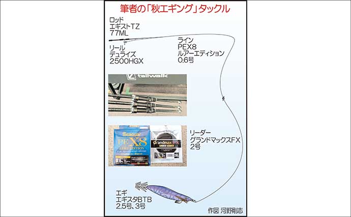 秋エギングの釣り方を徹底解説 【タックル・エギの選び方・ポイント・アクション】