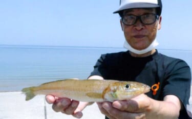 海水浴場を3カ所巡ってキス78尾を手中！ 最大27.5cmも登場【大分・国東半島】