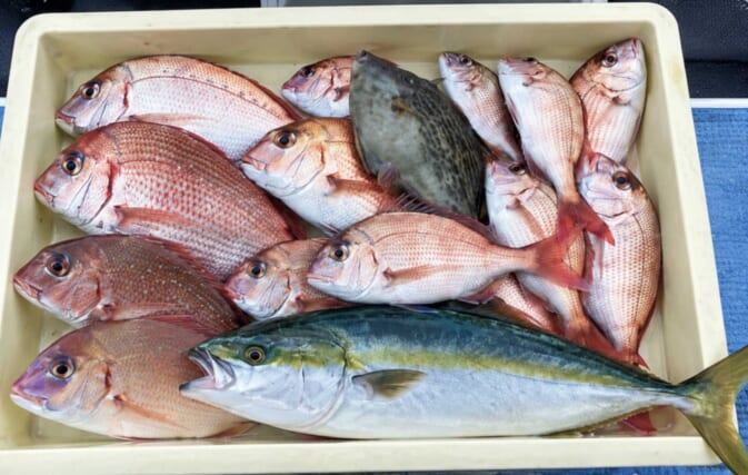 魚種多彩なウタセ五目釣りがいよいよ開幕！　中部の「知って得する」船釣り特選情報9選