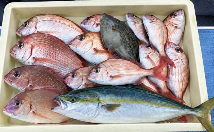 魚種多彩なウタセ五目釣りがいよいよ開幕！　中部の「知って得する」船釣り特選情報9選