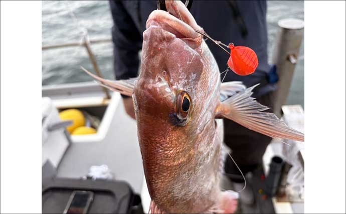 魚種多彩なウタセ五目釣りがいよいよ開幕！　中部の「知って得する」船釣り特選情報9選