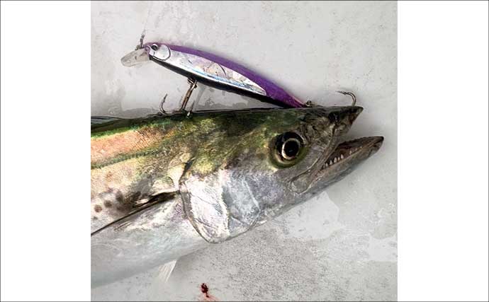 魚種多彩なウタセ五目釣りがいよいよ開幕！　中部の「知って得する」船釣り特選情報9選
