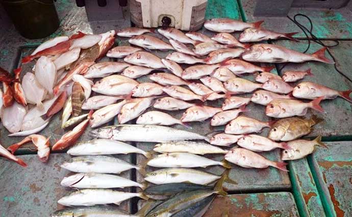 魚種多彩なウタセ五目釣りがいよいよ開幕！　中部の「知って得する」船釣り特選情報9選