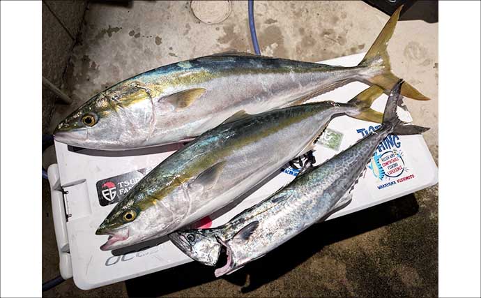 「周囲はメーター超えブリやサワラ連発なのに自分は釣れない…」　釣り方を真似して85cmブリがヒット