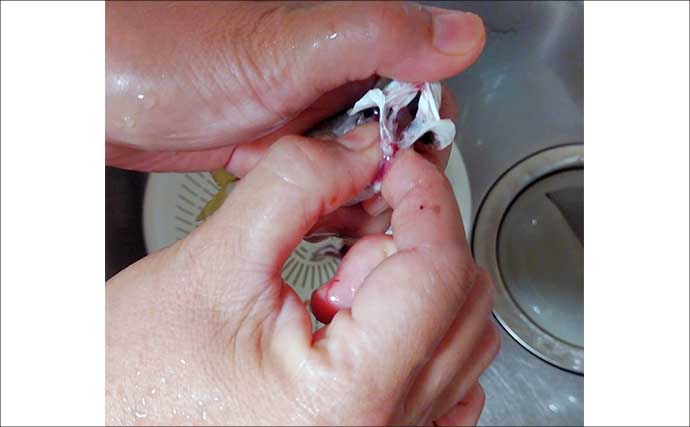 釣魚で作る「冷食」レシピ：冷凍豆アジ唐揚げ　粉付けて冷凍するだけ