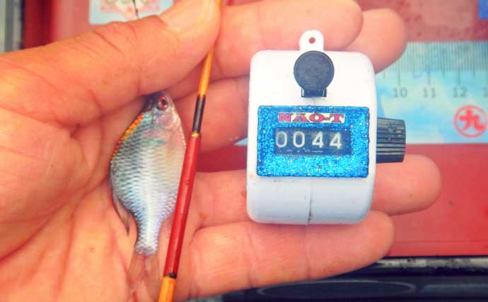 タナゴが小さすぎてハリに掛からない？「ハリのサイズダウン」が奏功し87尾【びん沼川】