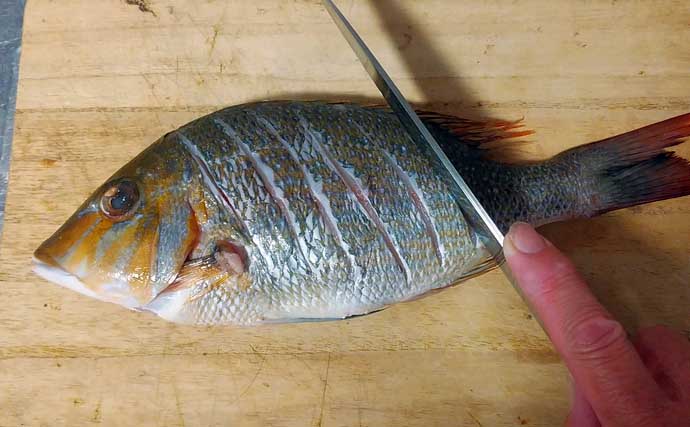 釣魚で作る「焼くだけ簡単」レシピ：ハマフエフキの白焼き　30cm級の小型がオススメ